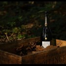 More bollinger-la-grand-annee-2015-life2.jpg